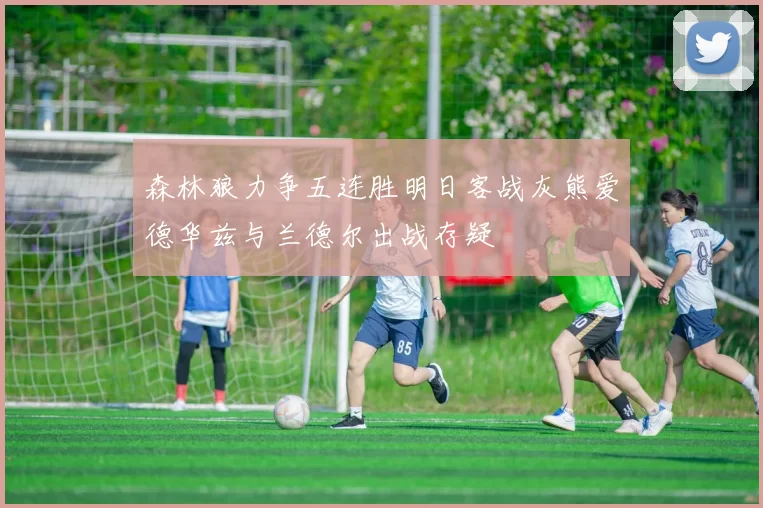 森林狼力争五连胜明日客战灰熊爱德华兹与兰德尔出战存疑